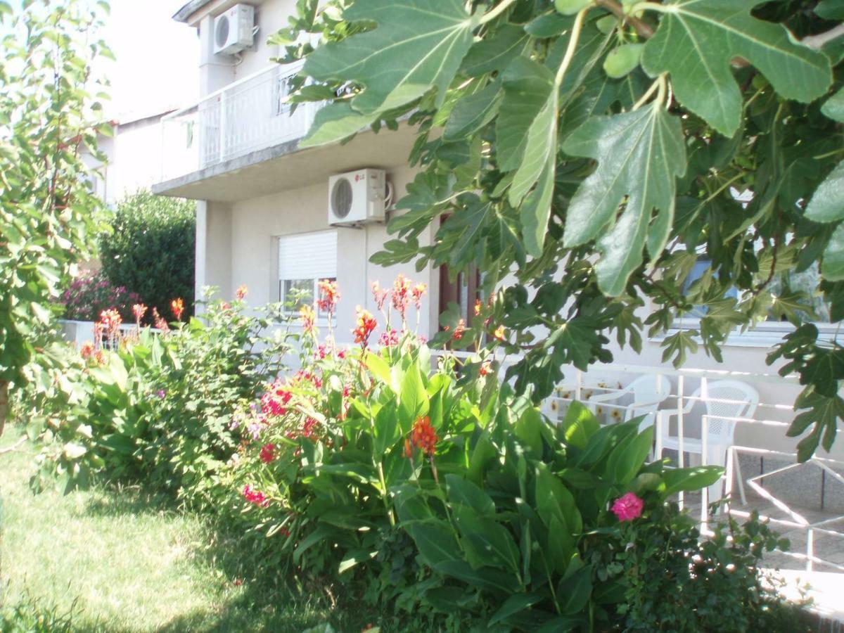Apartment Antonija Senj  Exterior photo